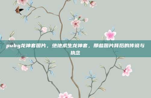 pubg龙神套图片,绝地求生龙神套,那些图片背后的传说与执念