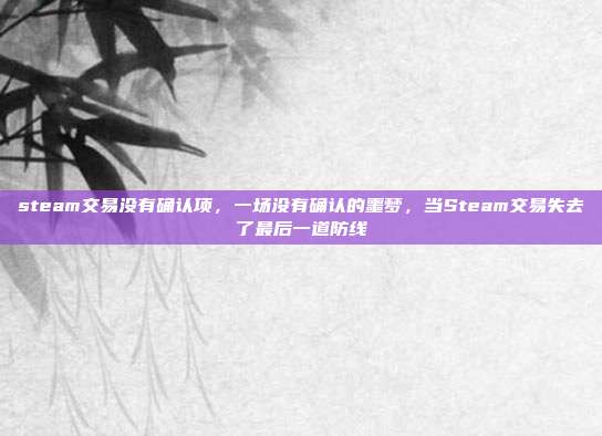 steam交易没有确认项,一场没有确认的噩梦,当Steam交易失去了最后一道防线