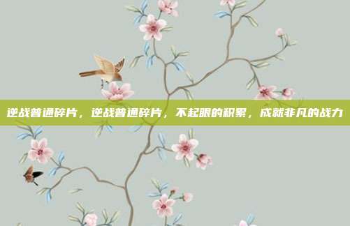 逆战普通碎片,逆战普通碎片,不起眼的积累,成就非凡的战力