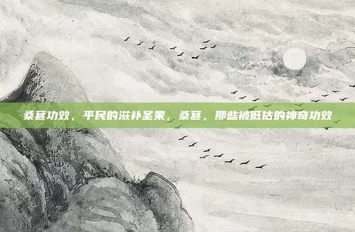 桑葚功效,平民的滋补圣果,桑葚,那些被低估的神奇功效
