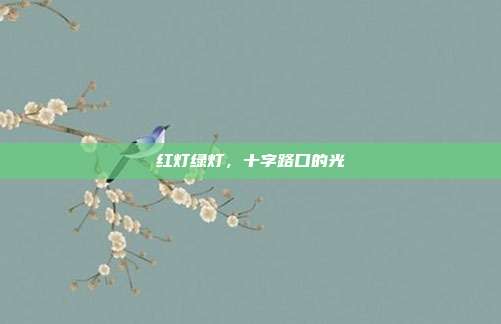 红灯绿灯,十字路口的光