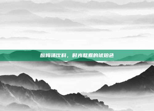 酸梅汤饮料,时光熬煮的琥珀色