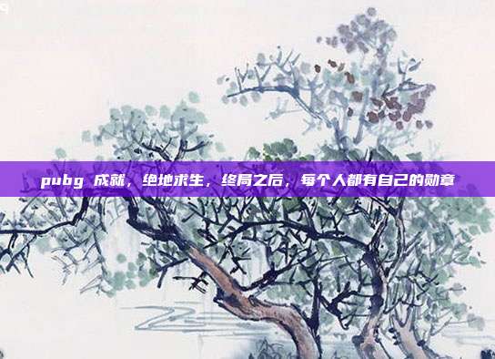 pubg 成就,绝地求生,终局之后,每个人都有自己的勋章