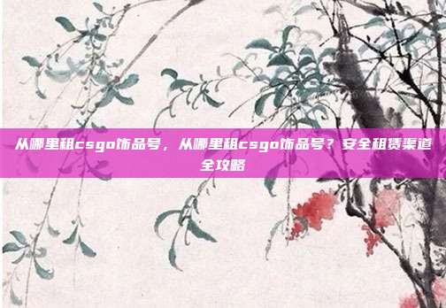 从哪里租csgo饰品号,从哪里租csgo饰品号?安全租赁渠道全攻略