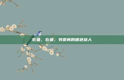 衣鱼,衣鱼,书页间的银色旅人