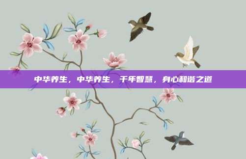 中华养生,中华养生,千年智慧,身心和谐之道
