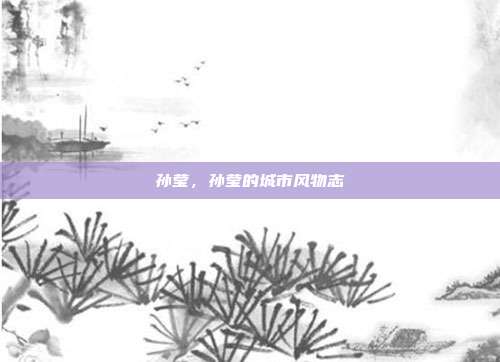 孙莹,孙莹的城市风物志