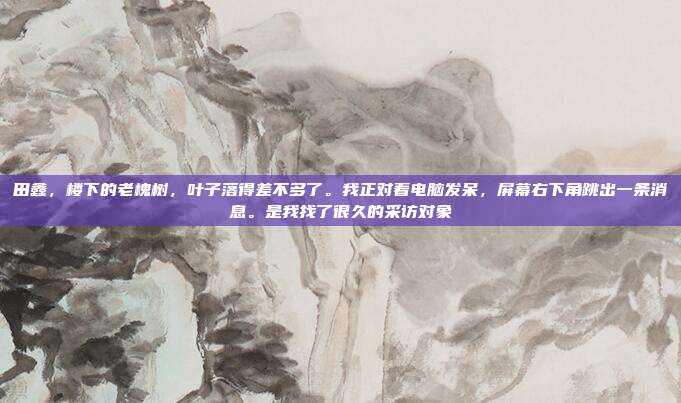 田鑫,楼下的老槐树,叶子落得差不多了。我正对着电脑发呆,屏幕右下角跳出一条消息。是我找了很久的采访对象