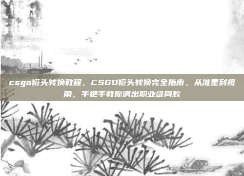 csgo镜头转换教程,CSGO镜头转换完全指南,从准星到视角,手把手教你调出职业哥同款