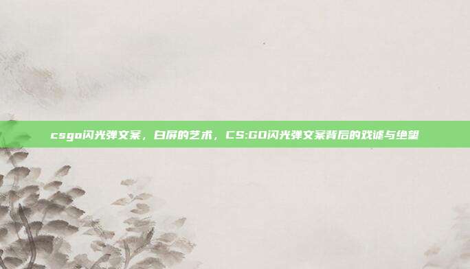 csgo闪光弹文案,白屏的艺术,CS:GO闪光弹文案背后的戏谑与绝望