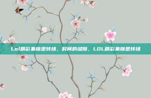 Lol精彩集锦是转场,时间的缝隙,LOL精彩集锦是转场