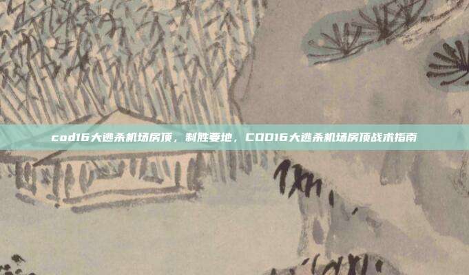 cod16大逃杀机场房顶,制胜要地,COD16大逃杀机场房顶战术指南