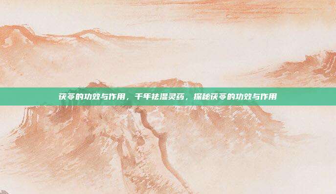 茯苓的功效与作用,千年祛湿灵药,探秘茯苓的功效与作用