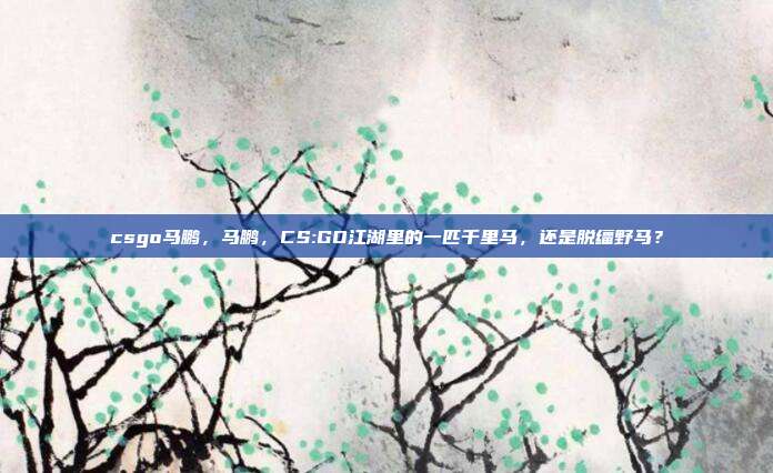 csgo马鹏,马鹏,CS:GO江湖里的一匹千里马,还是脱缰野马?
