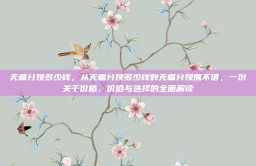 无痛分娩多少钱,从无痛分娩多少钱到无痛分娩值不值,一份关于价格、价值与选择的全面解读