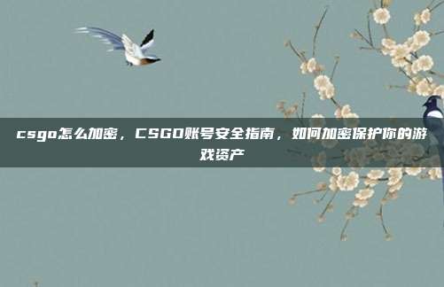 csgo怎么加密,CSGO账号安全指南,如何加密保护你的游戏资产