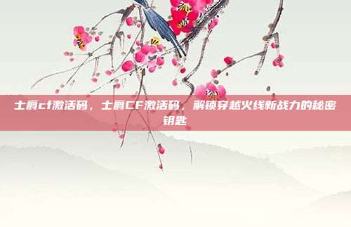 士爵cf激活码,士爵CF激活码,解锁穿越火线新战力的秘密钥匙