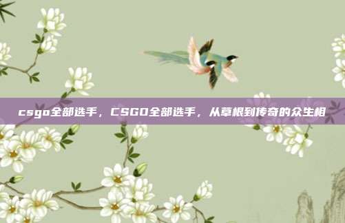 csgo全部选手,CSGO全部选手,从草根到传奇的众生相
