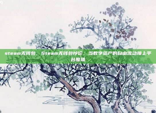steam无钱包,Steam无钱包悖论,当数字资产的自由流动撞上平台围墙