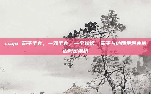 csgo 茄子手套,一双手套,一个神话,茄子与他那把逝去的迈阿密编织