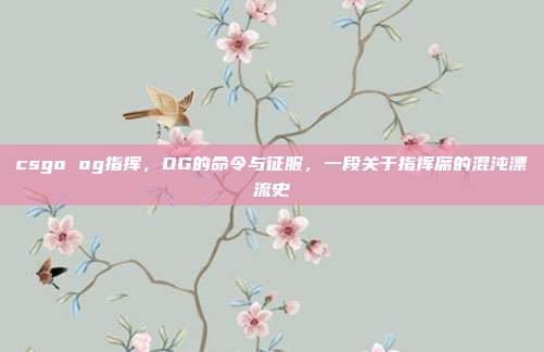 csgo og指挥,OG的命令与征服,一段关于指挥席的混沌漂流史