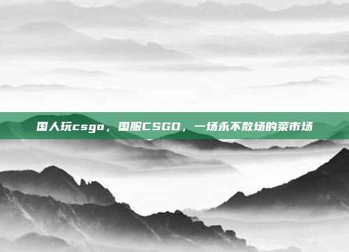 国人玩csgo,国服CSGO,一场永不散场的菜市场