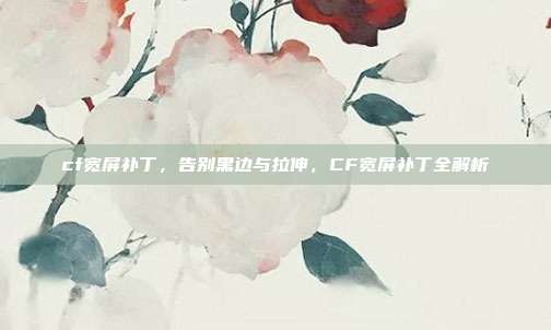 cf宽屏补丁,告别黑边与拉伸,CF宽屏补丁全解析