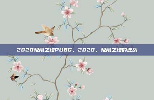 2020极限之地PUBG,2020,极限之地的逆战