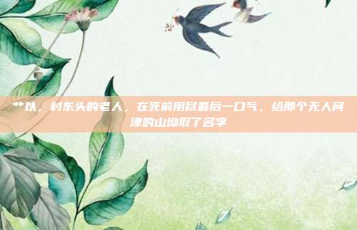 艹以,村东头的老人,在死前用尽最后一口气,给那个无人问津的山坳取了名字