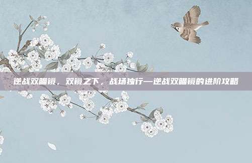 逆战双瞄镜,双镜之下,战场独行—逆战双瞄镜的进阶攻略