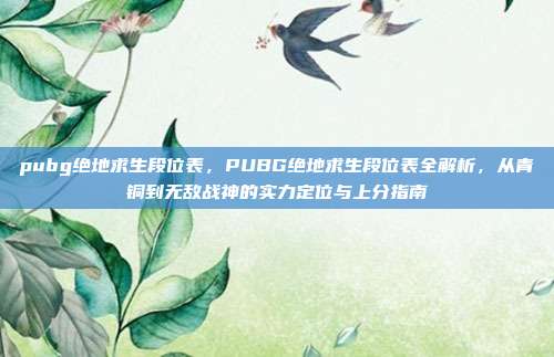 pubg绝地求生段位表,PUBG绝地求生段位表全解析,从青铜到无敌战神的实力定位与上分指南