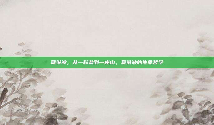 夏维波,从一粒盐到一座山,夏维波的生命哲学