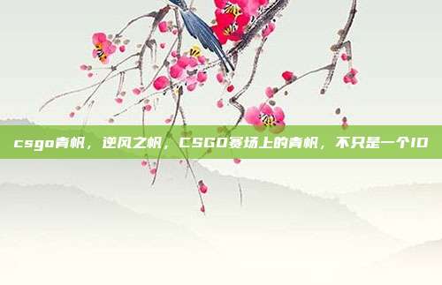 csgo青帆,逆风之帆,CSGO赛场上的青帆,不只是一个ID