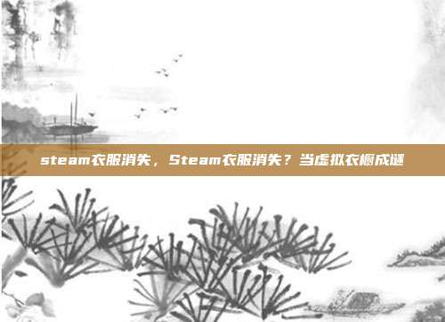 steam衣服消失,Steam衣服消失?当虚拟衣橱成谜