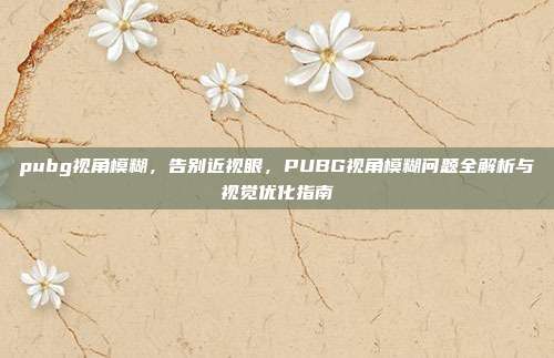 pubg视角模糊,告别近视眼,PUBG视角模糊问题全解析与视觉优化指南