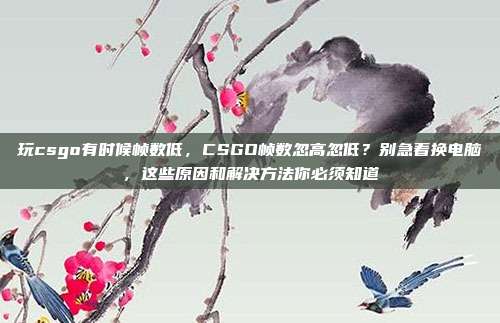 玩csgo有时候帧数低,CSGO帧数忽高忽低?别急着换电脑,这些原因和解决方法你必须知道