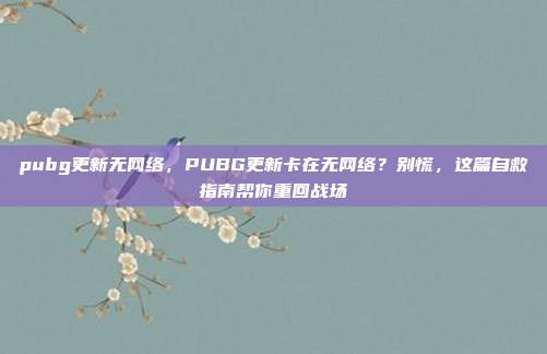 pubg更新无网络,PUBG更新卡在无网络?别慌,这篇自救指南帮你重回战场