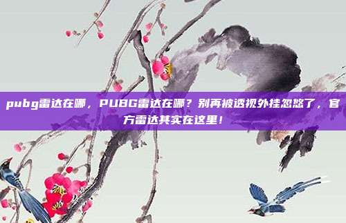 pubg雷达在哪,PUBG雷达在哪?别再被透视外挂忽悠了,官方雷达其实在这里!