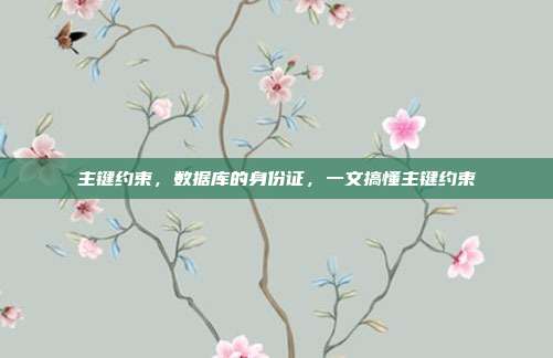 主键约束,数据库的身份证,一文搞懂主键约束