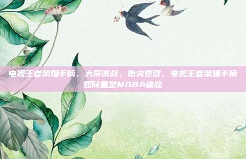 电视王者荣耀手柄,大屏激战,指尖觉醒,电视王者荣耀手柄如何重塑MOBA体验