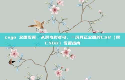 csgo 全面设置,从菜鸟到老鸟,一份真正全面的CS2(原CSGO)设置指南