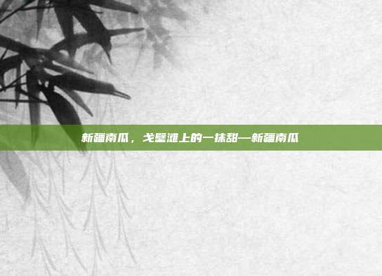 新疆南瓜,戈壁滩上的一抹甜—新疆南瓜