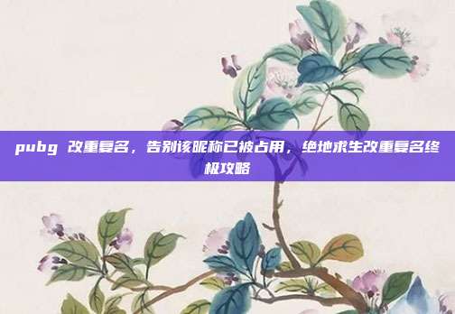 pubg 改重复名,告别该昵称已被占用,绝地求生改重复名终极攻略