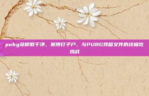 pubg没卸载干净,赛博钉子户,与PUBG残留文件的终极吃鸡战