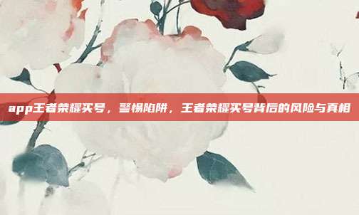 app王者荣耀买号,警惕陷阱,王者荣耀买号背后的风险与真相