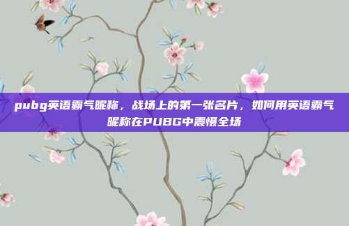 pubg英语霸气昵称,战场上的第一张名片,如何用英语霸气昵称在PUBG中震慑全场