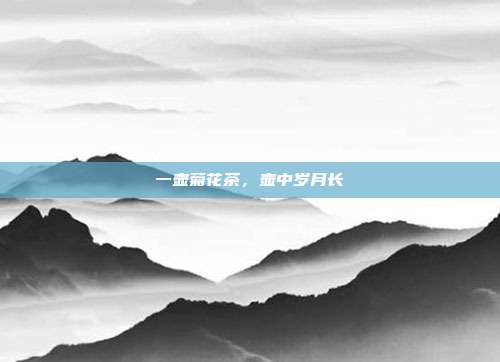 一壶菊花茶,壶中岁月长