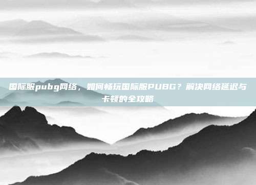 国际服pubg网络,如何畅玩国际服PUBG?解决网络延迟与卡顿的全攻略