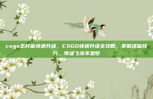 csgo怎样能快速升级,CSGO快速升级全攻略,掌握这些技巧,等级飞涨不是梦
