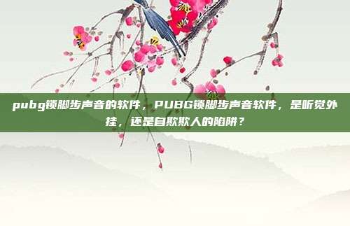 pubg锁脚步声音的软件,PUBG锁脚步声音软件,是听觉外挂,还是自欺欺人的陷阱?